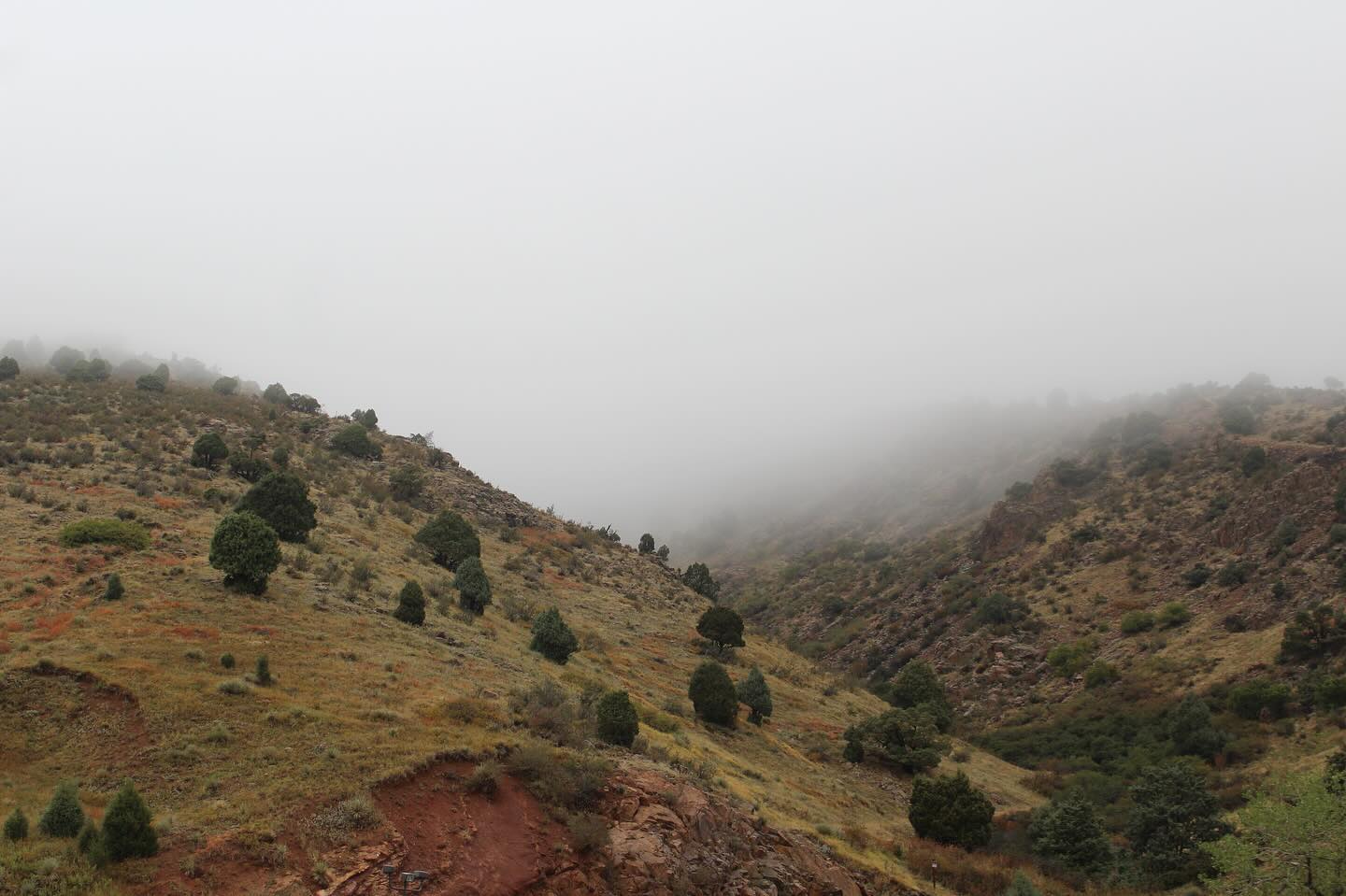 Misty hills with scattered trees